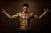 picture of wire  - the very muscular handsome felon guy misery out of netting steel fence with barbed wire - JPG 