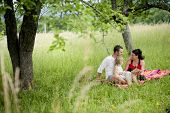 foto of family  - Happy family is playing together in a green meadow - JPG 