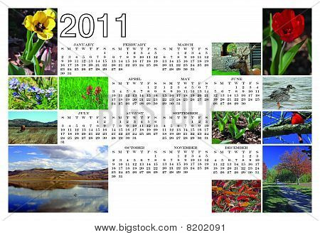Stock photo : 2011 Nature Collage Calendar