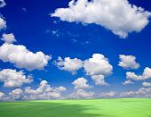 pic of blue sky  - Green grass under blue sky  - JPG 