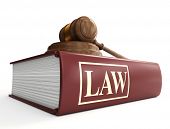 picture of book  - legal gavel on a law book - JPG 