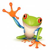 image of animals  - Little tree frog on a white background - JPG 