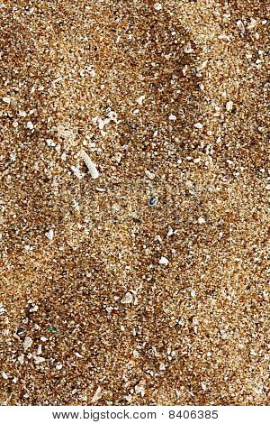 ground beach shells