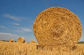 stock photo of yield  - Straw bales on farmland with blue sky - JPG 