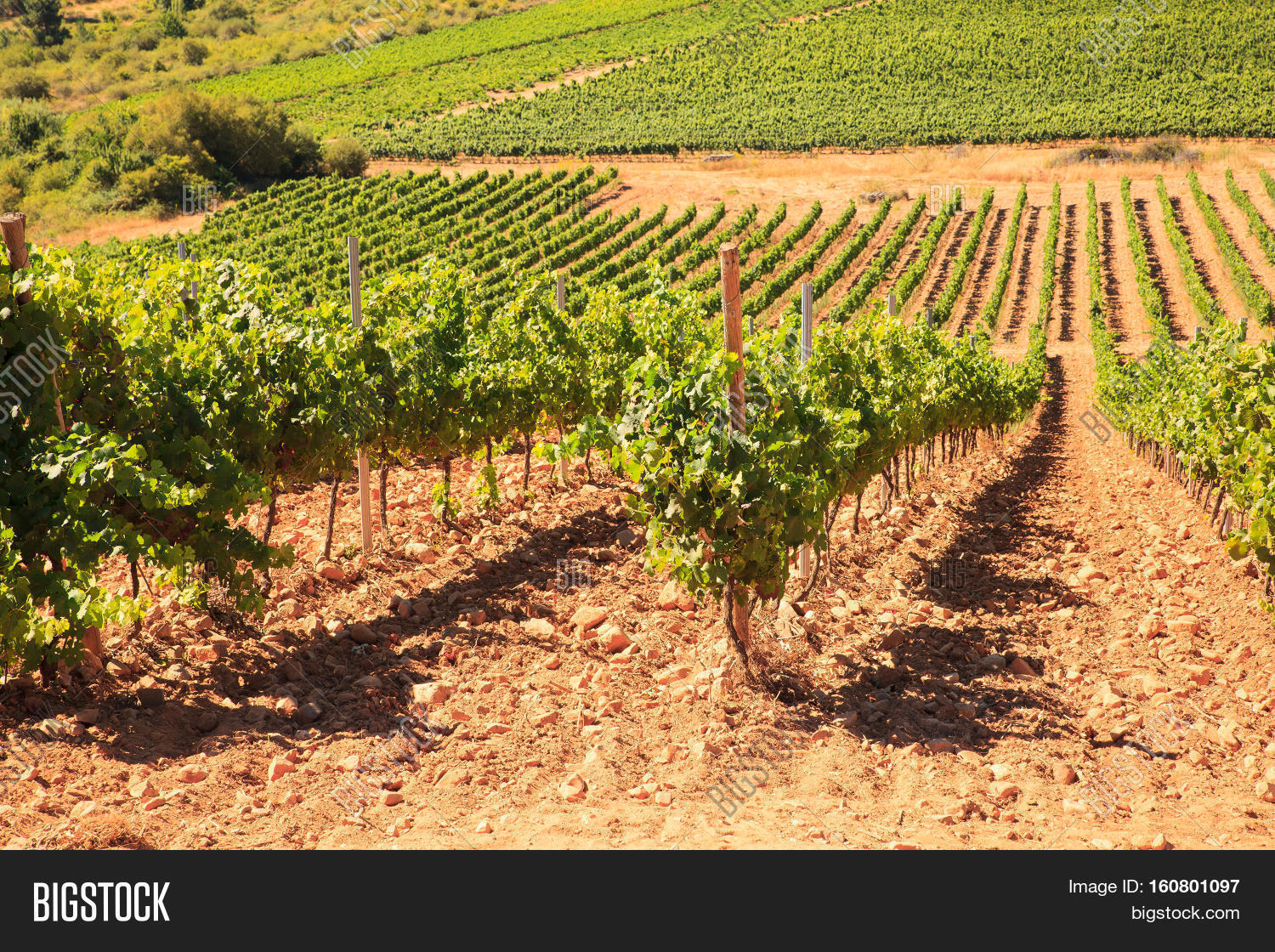 View Vineyards Spanish Countryside Image & Photo Bigstock