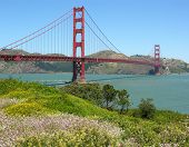picture of golden gate bridge  - Beautiful Golden Gate Bridge in San Francisco - JPG 