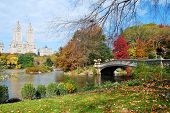 image of bridge  - New York City Manhattan Central Park panorama in Autumn lake with bridge skyscrapers and colorful trees with reflection - JPG 