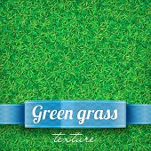 foto of green  - Green grass background - JPG 