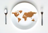 foto of world  - A world map made of pieces of Spelt grain on a white plate symbolizing concepts of trade - JPG 