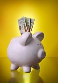 image of investment  - Piggy Bank Financial Investment Savings w - JPG 