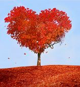stock photo of nature  - Tree of love - JPG 