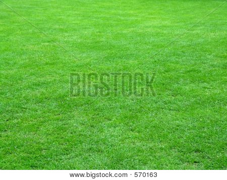 Stock photo : Football Field Grass