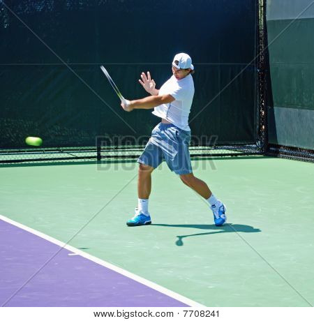 7708241.jpg