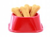 picture of dog  - Dog food bowl with dog biscuits shaped like bones - JPG 