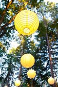 stock photo of outdoor  - Yellow wedding decorations hang from the trees at a wedding ceremony and reception outdoors in Oregon - JPG 