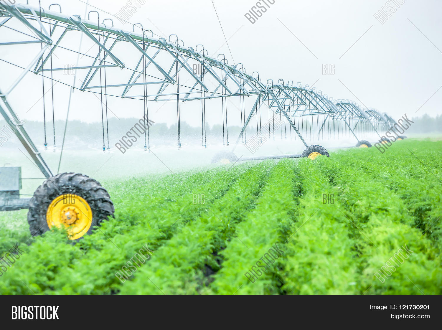 agriculture irrigation agriculture irrigation