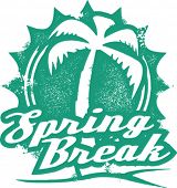picture of break  - Vintage Style Spring Break Vacation Stamp - JPG 