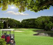 foto of golf  - Golf cart on the course with colorful background and dark blue sky - JPG 