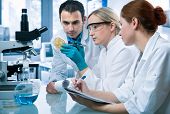foto of medical doctors  - group of students working at the laboratory - JPG 