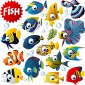 image of animals  - vector tropical fish set - JPG 