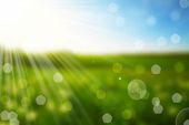stock photo of beams  - nature spring bokeh background with sun beam - JPG 