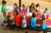 pic of outdoor  - Kids at an outdoor birthday party and picnic - JPG 