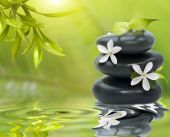 pic of black  - Spa still life with white flowers on the black stones and bamboo leafs - JPG 