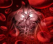 picture of health  - Blood system and circultaion with a human heart cardiovascular icon with anatomy from a healthy body on a background with blood cells as a medical health care symbol of an inner organ as a medical health care concept - JPG 