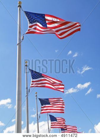 Picture or Photo of Flags blowing in the breeze on a sunny day.
** Note: Slight graininess, best at smaller sizes