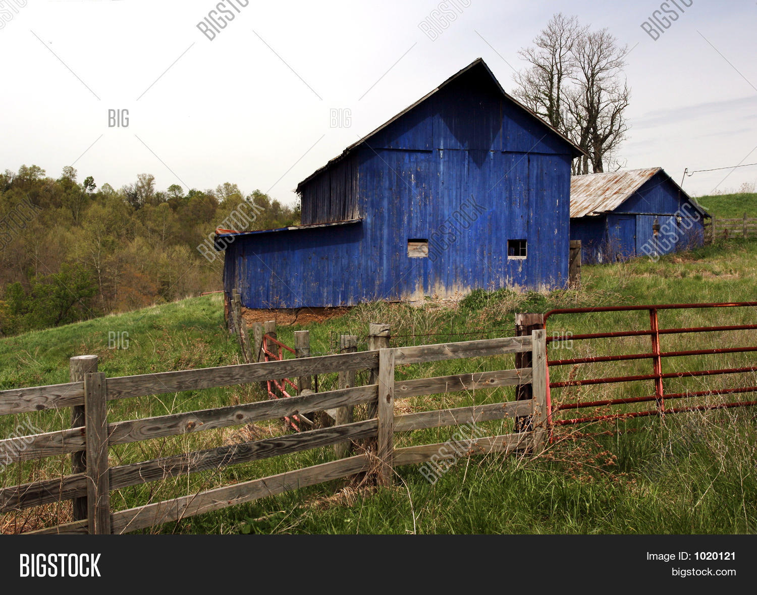 Blue Barns Image & Photo Bigstock