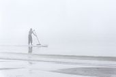 image of oared  - Man on a paddle board with oar in the mist at the ocean - JPG 