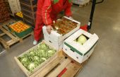 picture of food  - interior of storage of fruit and vegetable packages - JPG 