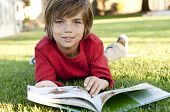 stock photo of reading  - Very cute 7 year old boy lying on the grass reading a kids book - JPG 