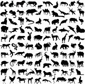 foto of animals  - Hundred silhouettes of wild animals birds and reptiles - JPG 