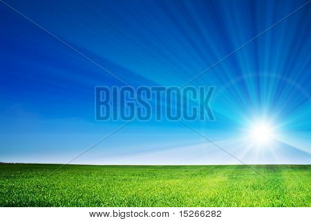 Picture or Photo of Beautiful landscape, green grass, blue sky