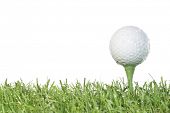 picture of golf  - Golf ball on a tee with grass and white background in damp conditions - JPG 