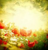 pic of  photo  - Photo of a poppies pasted on a grunge background - JPG 