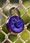 stock photo of locking  - This single lock is locked onto a chain link fence - JPG 