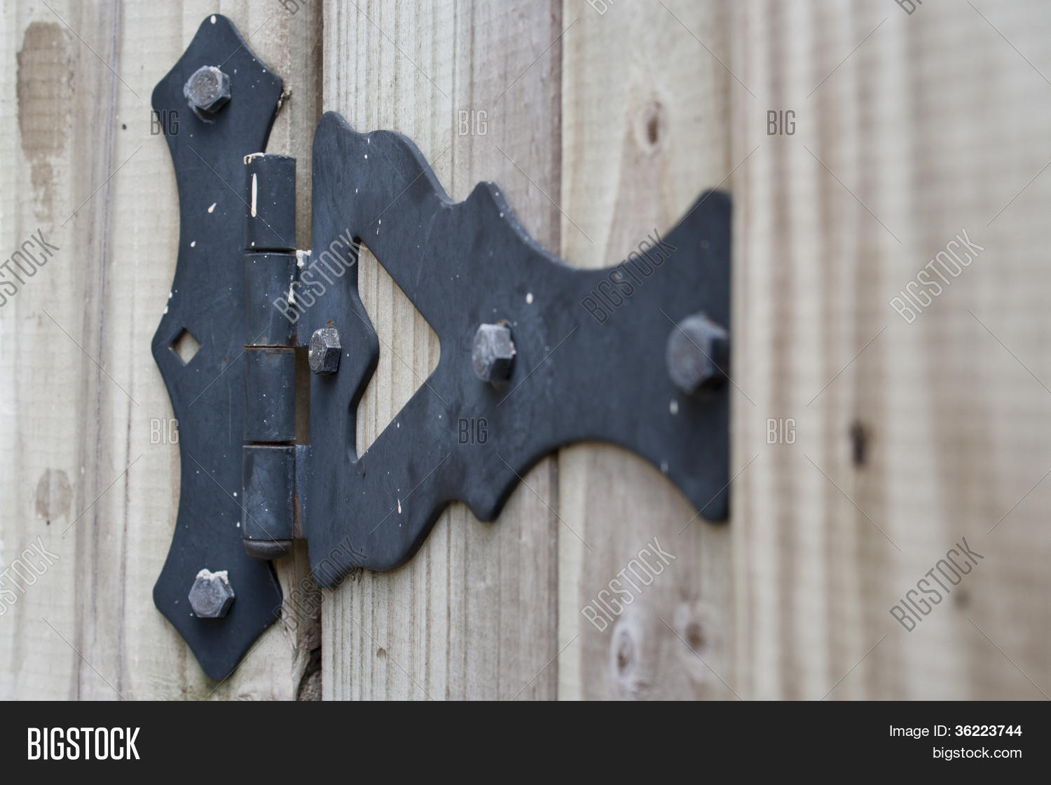 Decorative Garden Gate Hinge Stock Photo & Stock Images Bigstock
