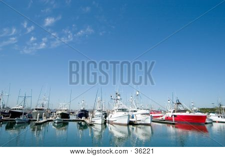 36221.jpg