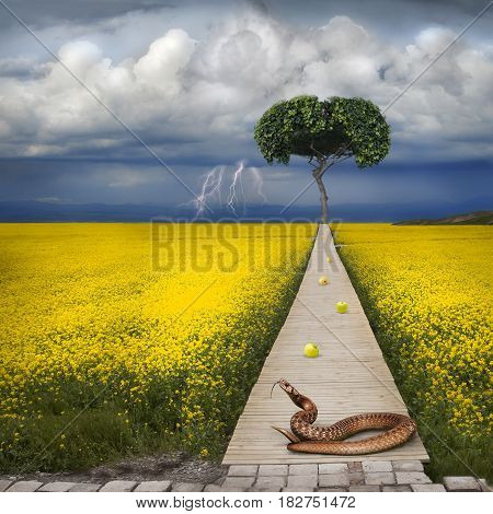 Poster: Biblical Apple Of Temptation And