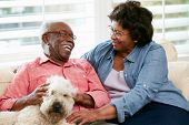 image of animals  - Happy Senior Couple Sitting On Sofa With Dog - JPG 