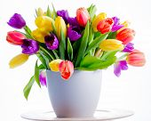 image of holidays  - Spring flowers - JPG 
