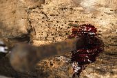 picture of religion  - rusty nail on wood with blood drips - JPG 