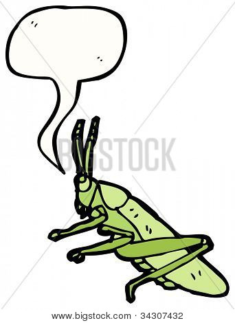 Cricket Illustration