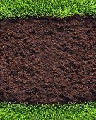 image of earth  - Healthy grass and soil background similar available in my portfolio - JPG 