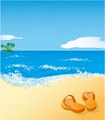 picture of beach  - Beach - JPG 