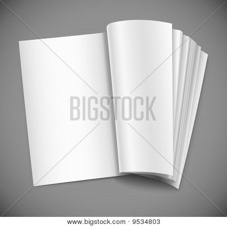 blank white paper lyrics. lank white page lyrics.