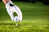 picture of golf  - Hand hold golf ball with tee on course - JPG 