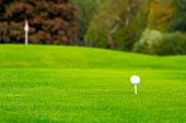 pic of golf  - Golf ball on tee in a beautiful golf club - JPG 